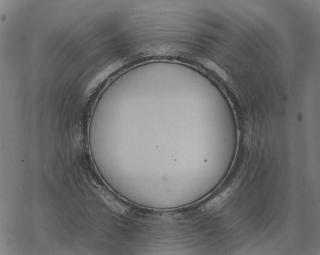 X0000077280922200611101314