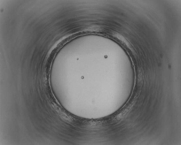 X0000077280923200611101314