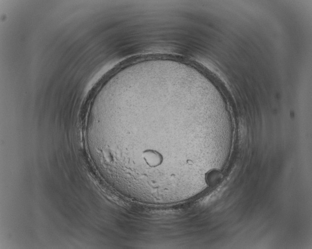 X0000077280925200611101314