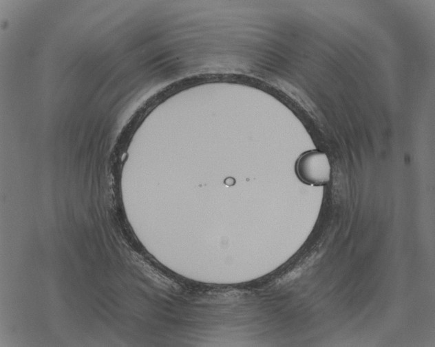 X0000077280926200611101314