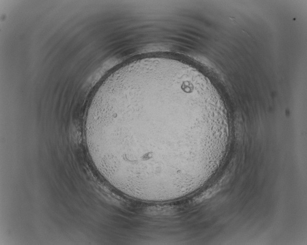 X0000077280929200611101314