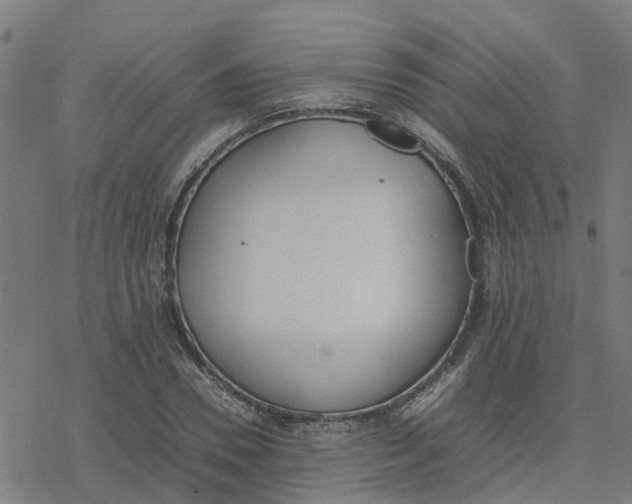 X0000077280930200611101314