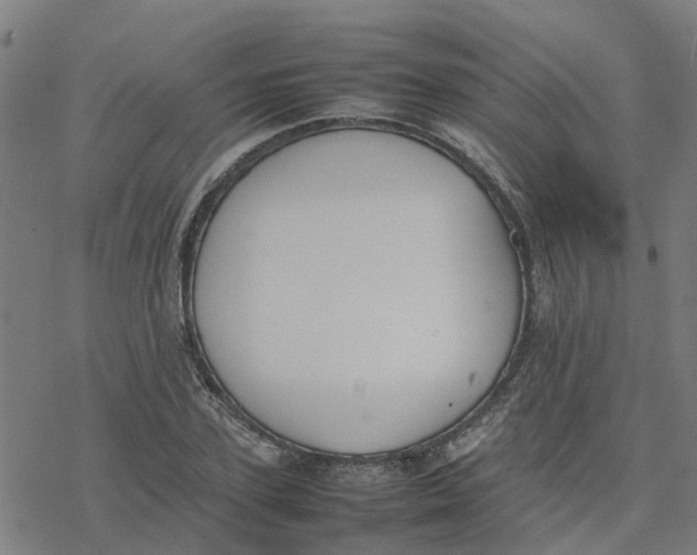 X0000077280931200611101314