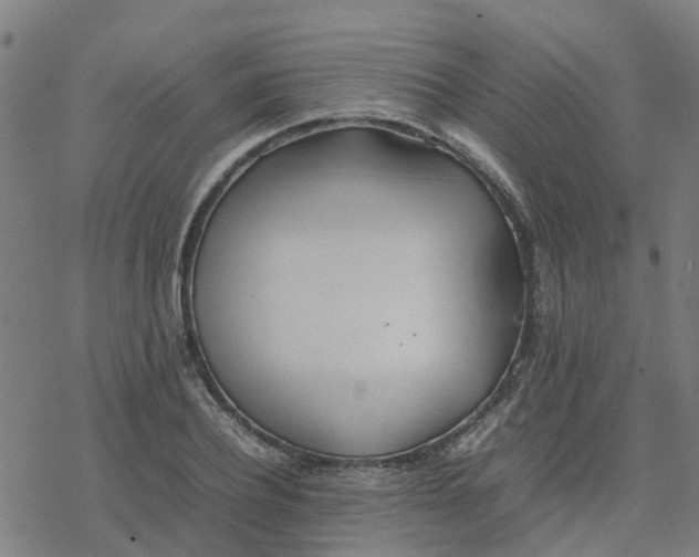 X0000077280932200611101314