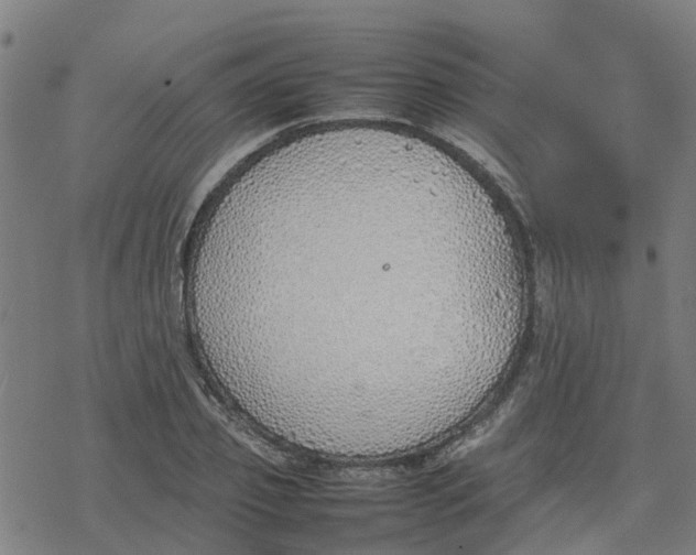 X0000077280933200611101314