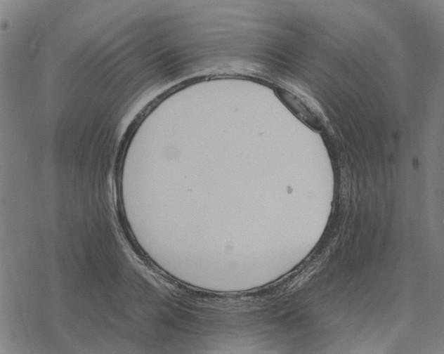 X0000077280936200611101314