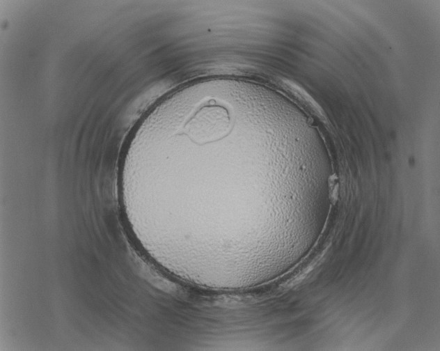 X0000077280938200611101314