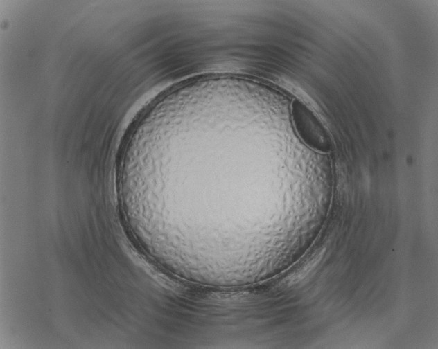 X0000077280939200611101314