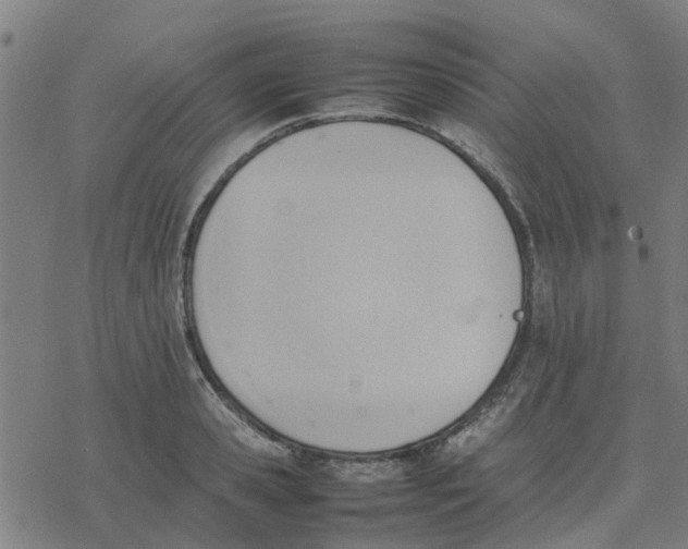 X0000077280941200611101314