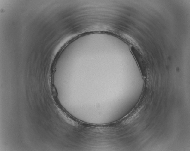 X0000077280942200611101314