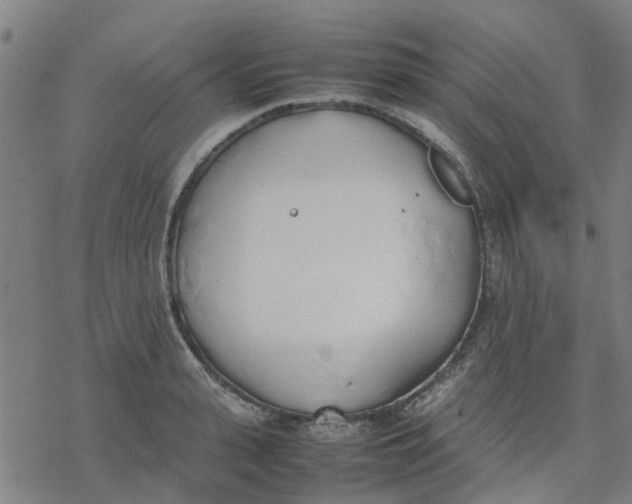 X0000077280943200611101314