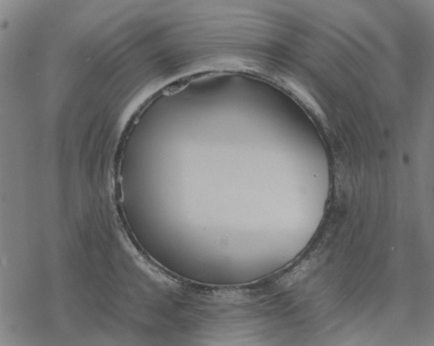 X0000077280944200611101314