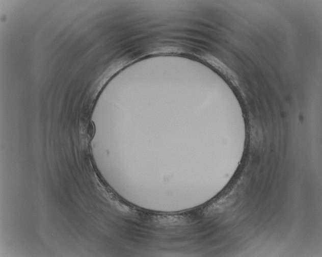 X0000077280945200611101314