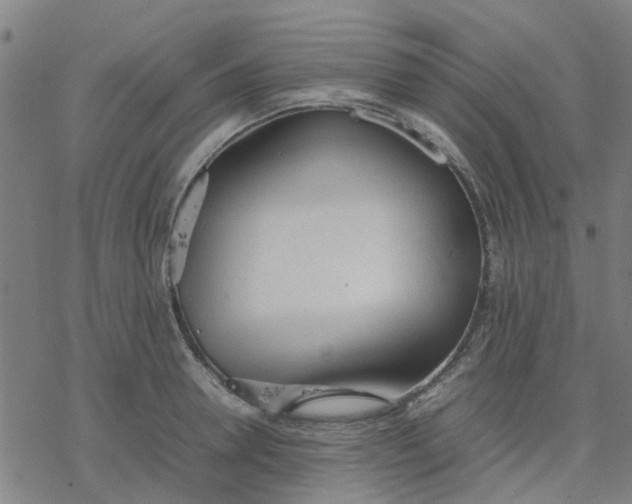 X0000077280946200611101314