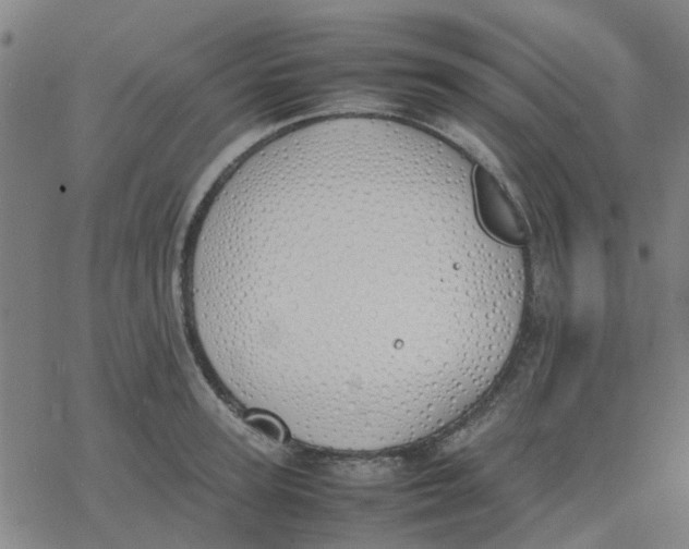 X0000077280947200611101314