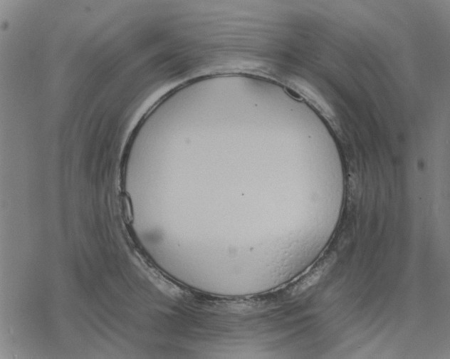 X0000077280948200611101314