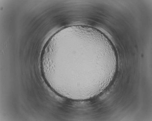 X0000077280949200611101314