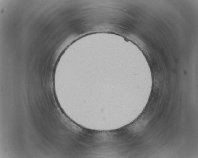 X0000077280950200611101314