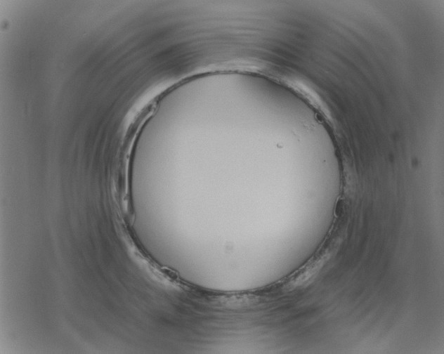 X0000077280952200611101314