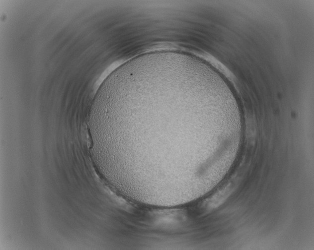 X0000077280953200611101314