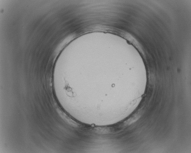 X0000077280954200611101314