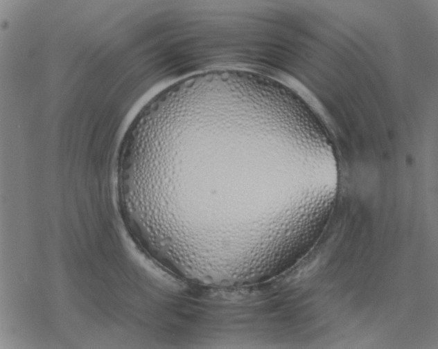 X0000077280955200611101314