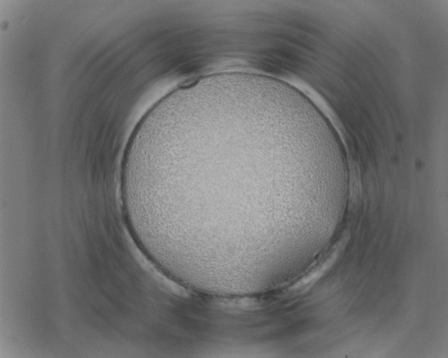 X0000077280957200611101314