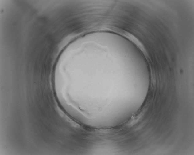 X0000077280958200611101314