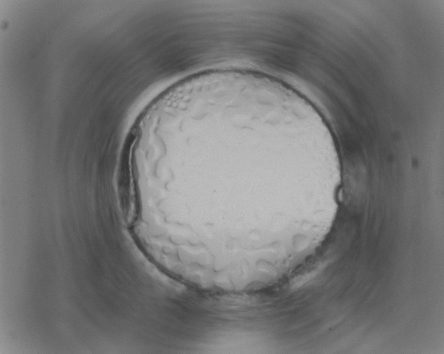 X0000077280959200611101314