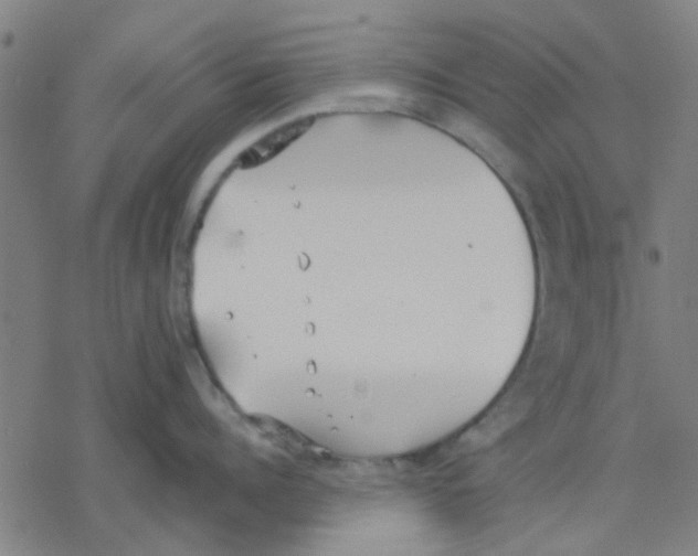 X0000077280960200611101314