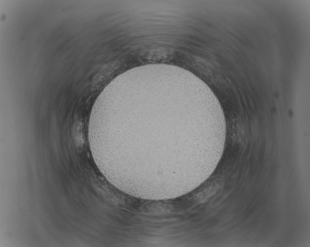 X0000077280962200611101314