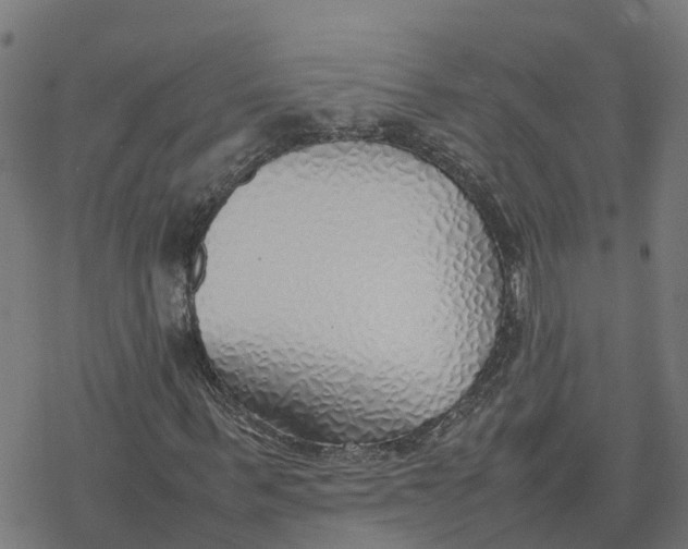 X0000077280963200611101314