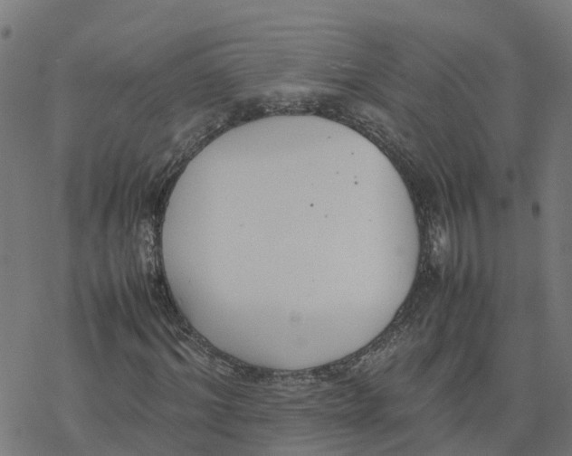 X0000077280964200611101314