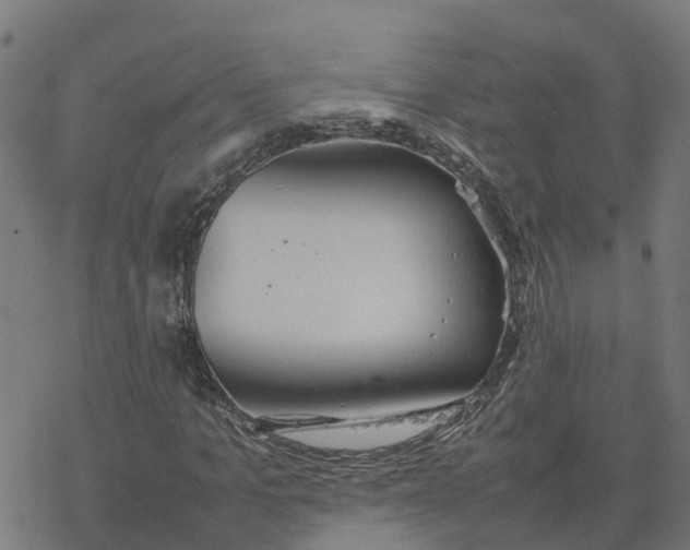 X0000077280965200611101314