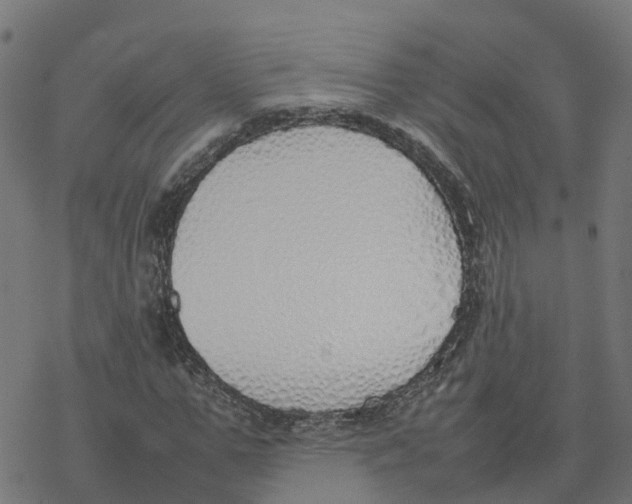 X0000077280967200611101314