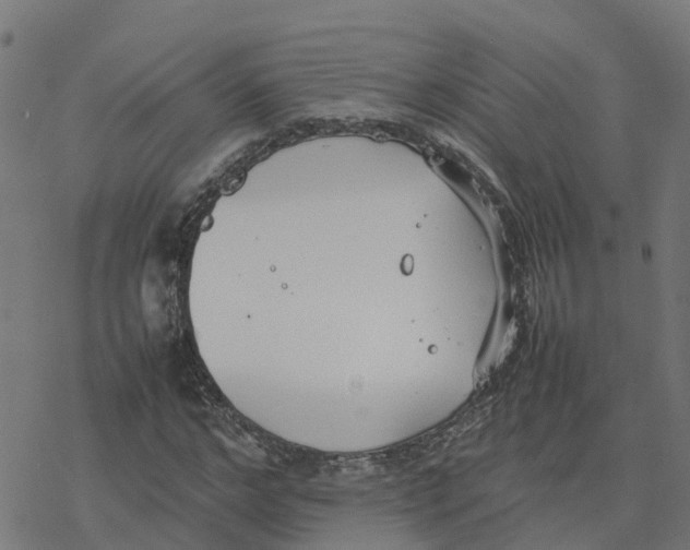 X0000077280968200611101314