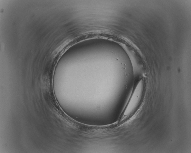 X0000077280969200611101314