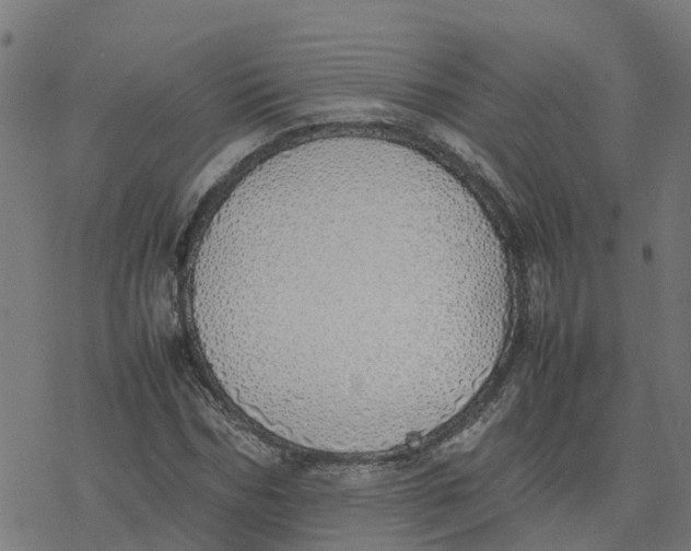 X0000077280970200611101314