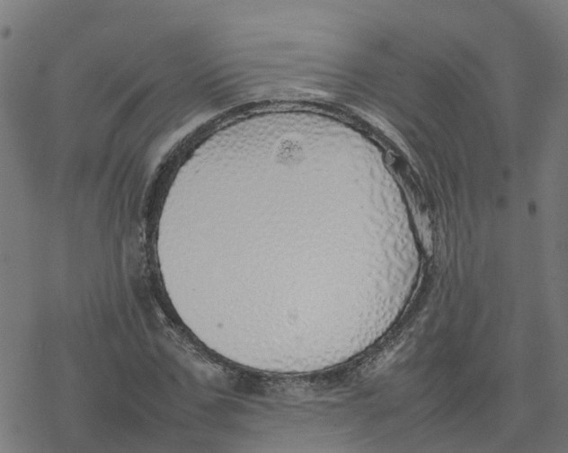 X0000077280971200611101314