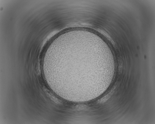 X0000077280974200611101313