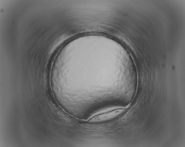 X0000077280975200611101313