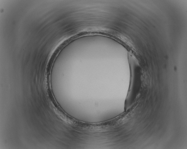 X0000077280976200611101313