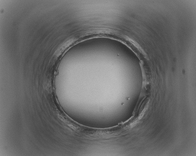 X0000077280977200611101313