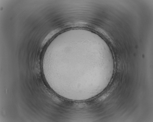 X0000077280978200611101313