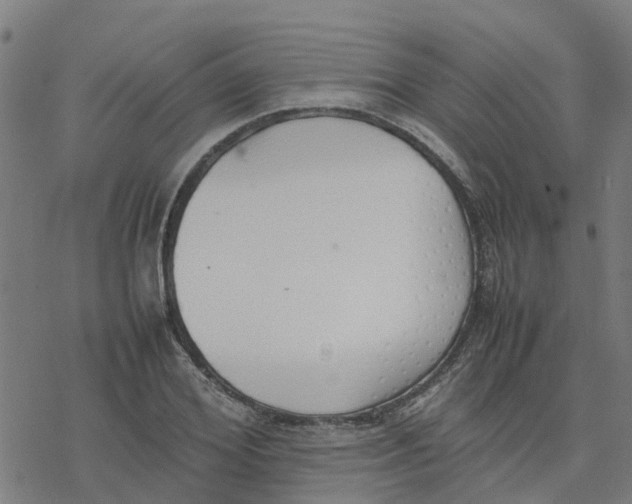 X0000077280980200611101313