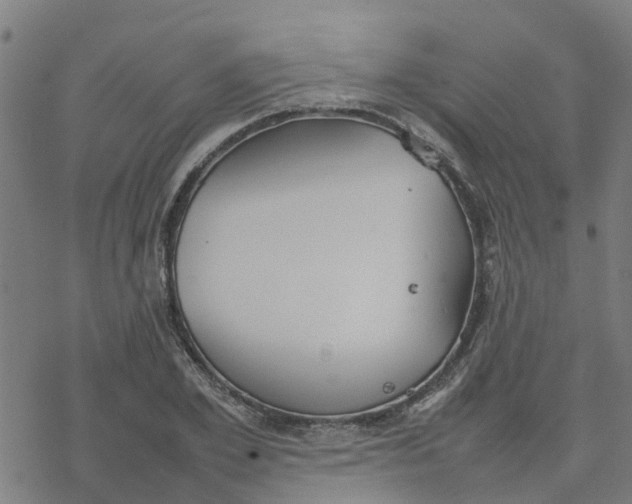 X0000077280981200611101313