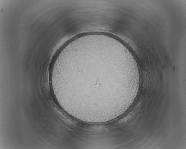 X0000077280982200611101313