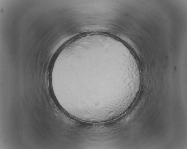 X0000077280983200611101313