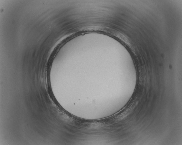 X0000077280984200611101313