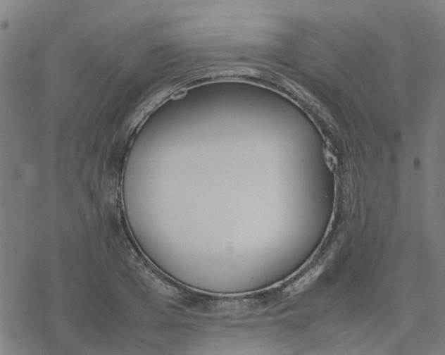 X0000077280985200611101313